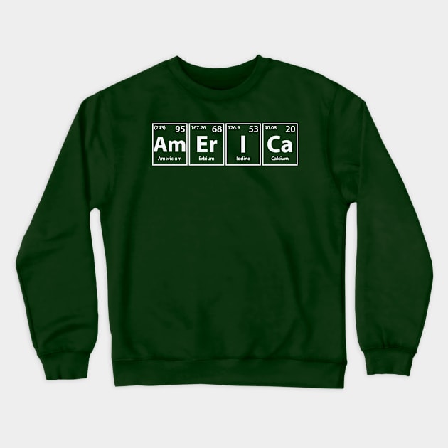 America Elements Spelling Crewneck Sweatshirt by cerebrands